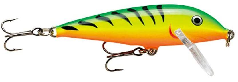 Five Rainbow Trout Fishing Baits: The Catch of the Day!